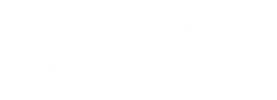 Logo Liga Strefa Racing
